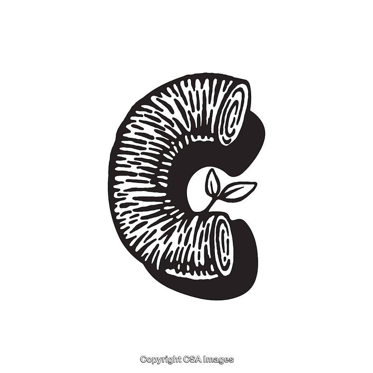 Black and White Illustrated Letter C With Nature Elements
