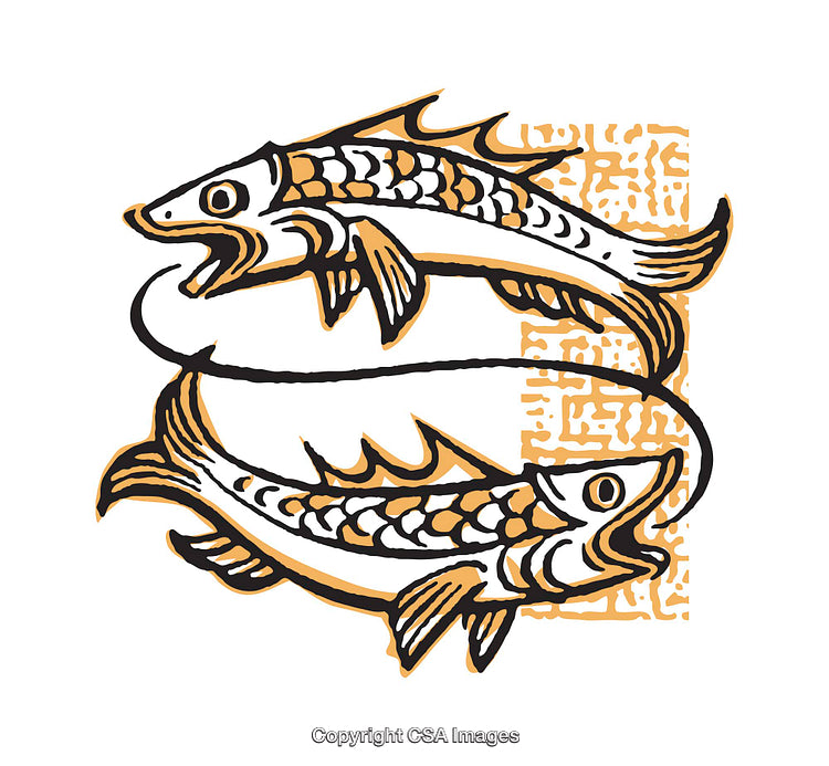 Artistic Illustration of Two Fish in a Rhythmic Circular Design