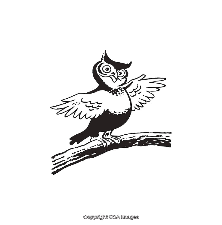 Illustration of a Cheerful Owl Perched on a Branch Spreading Its Wings