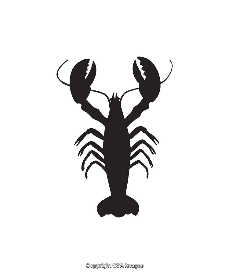 Silhouette Illustration of a Lobster in Black on a White Background