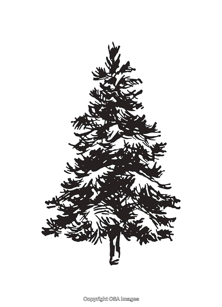 Black and White Line Art Illustration of a Pine Tree
