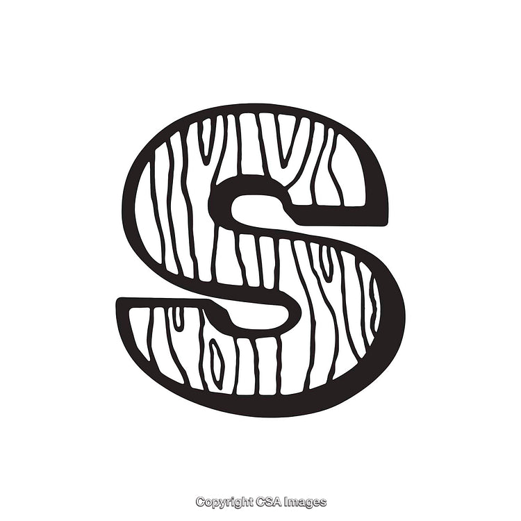 Letter S With Wooden Texture Design on White Background