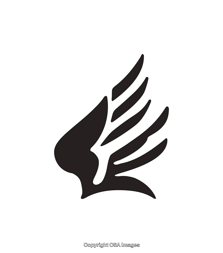 Minimalist Black and White Stylized Wing Icon Design