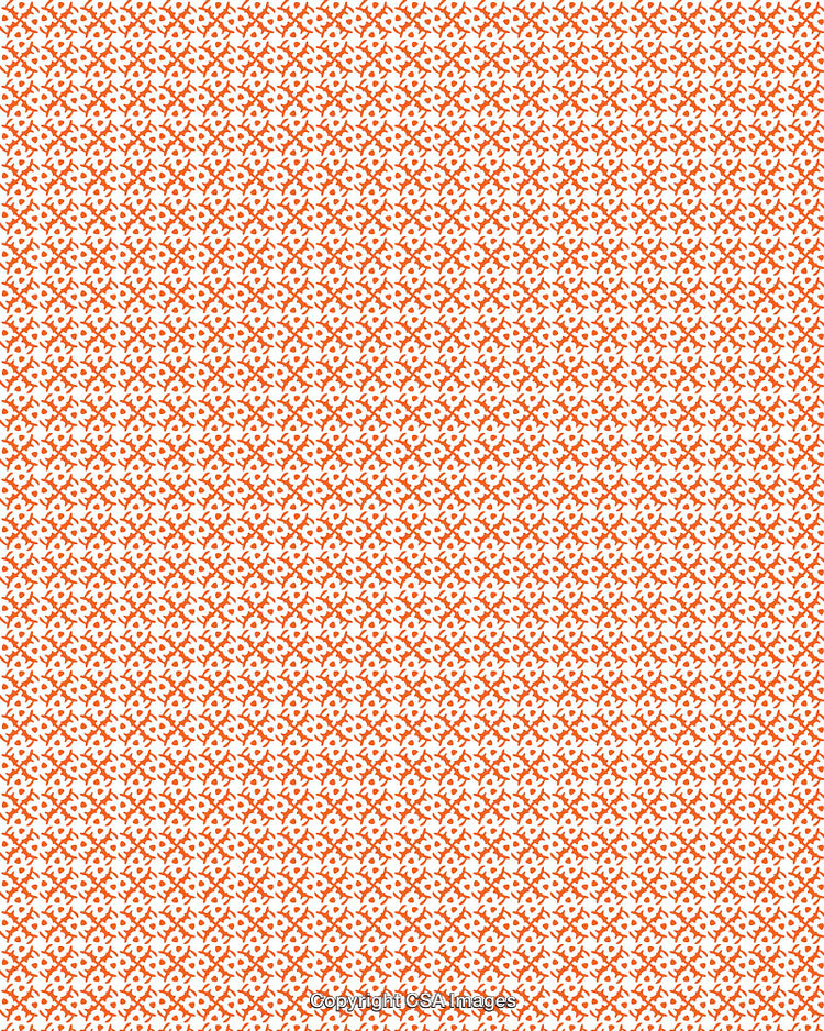 Orange Geometric Pattern Design Background with Intricate Floral Motif