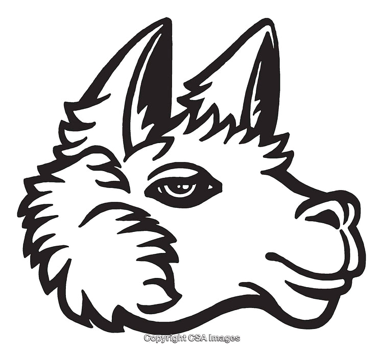 Black and White Line Art Illustration of a Llama's Head