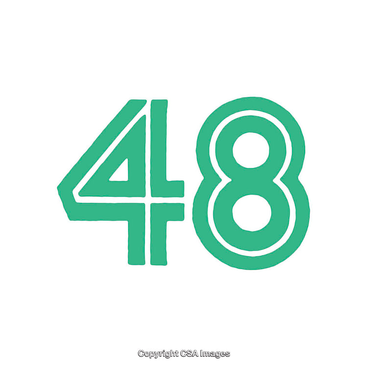 Large Green 48 Number Illustration on Plain White Background