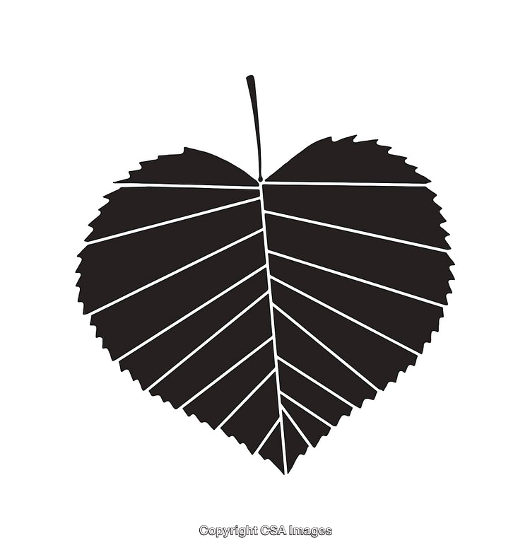 Black and White Line Art Illustration of a Stylized Heart-Shaped Leaf