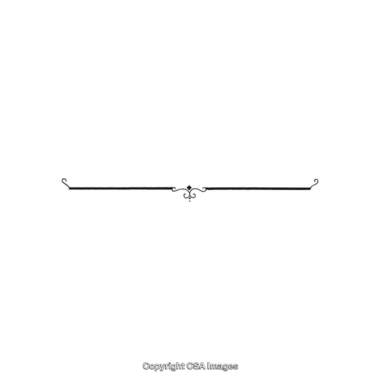 Elegant Decorative Ornamental Line Art Divider in Black and White Design