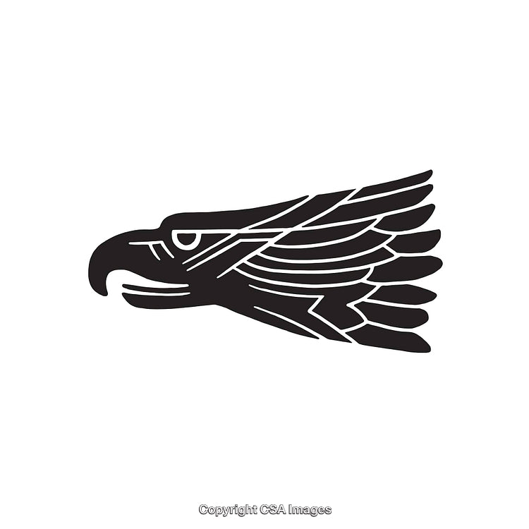 Minimalistic Black and White Line Art Eagle Illustration