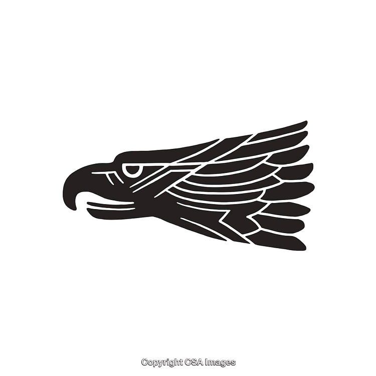Minimalistic Black and White Line Art Eagle Illustration
