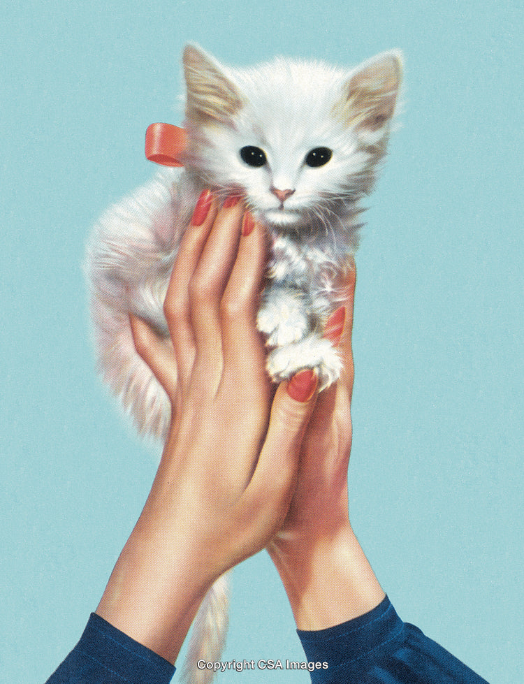 Hands Gently Cradling a Cute White Kitten With a Delicate Bow