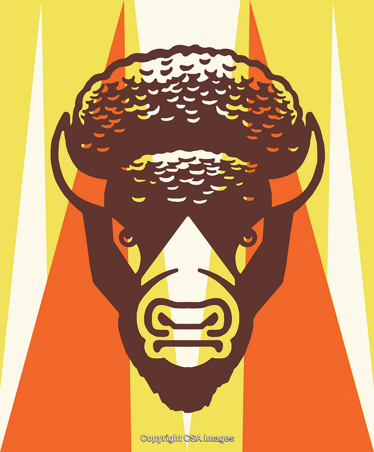 Abstract Illustration of a Buffalo in Bold Vibrant Tones with Retro Style