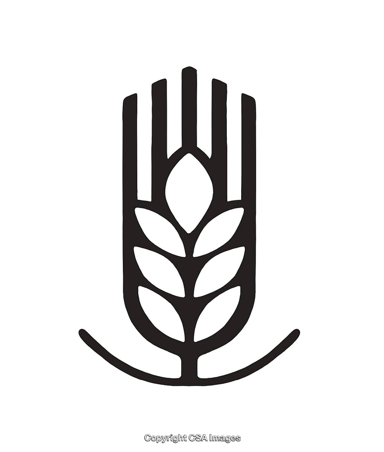 Black And White Symbol Featuring Grain Ear With Minimalist Design