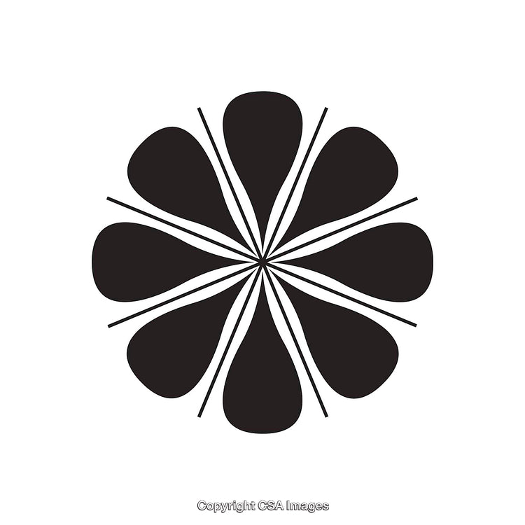 Symmetric Black and White Floral Abstract Design for Decor and Graphic Art