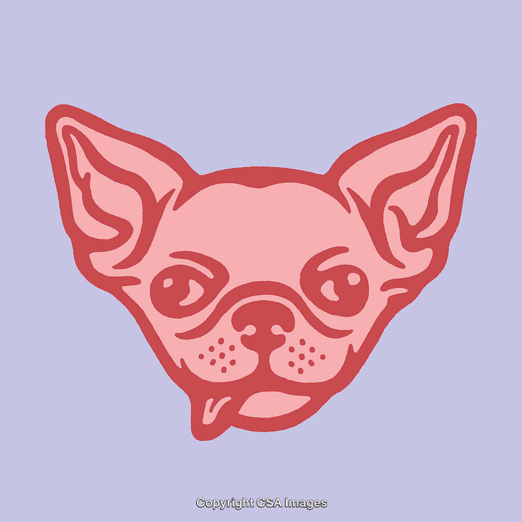 Colorful Line Art of a Chihuahua Dog with a Playful Expression