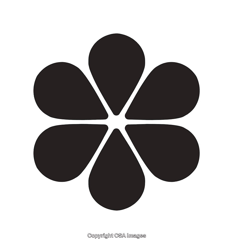 Minimalist Black Flower Icon Design with Petal Symmetry