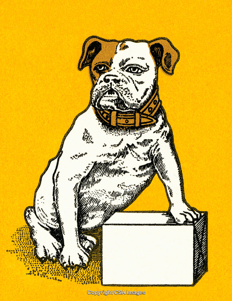 Retro Illustration of a Dog with a Collar on Yellow Background