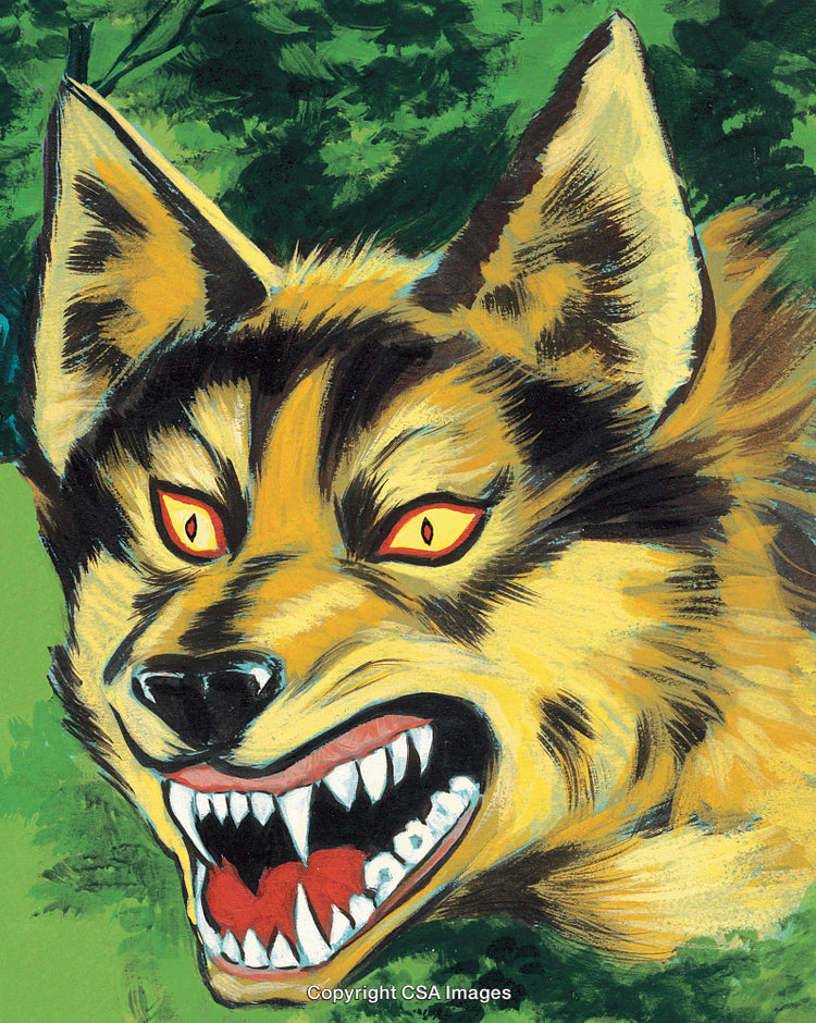 Fierce Wild Canine Snarling With Sharp Teeth in a Forest Setting
