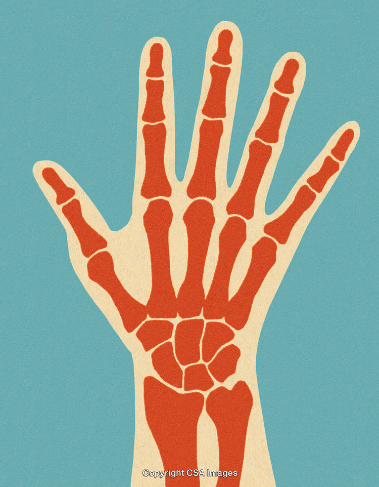 Colorful Graphic Illustration of a Hand Skeleton in a Simplified Style