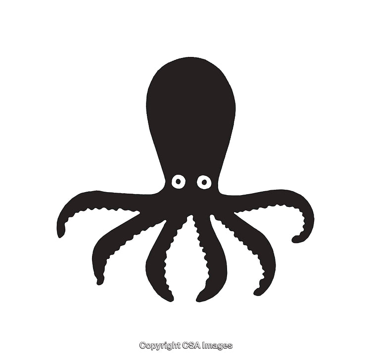 Black Silhouette Octopus Illustration With Eight Arms