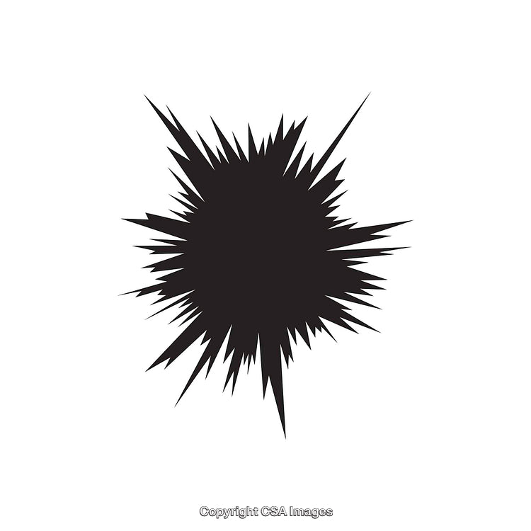 Abstract Black Spiked Dingbat Shape on White Background