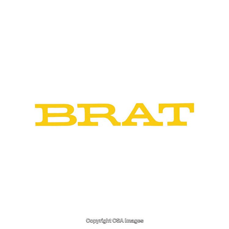 Yellow Bold Typography Text on White Background