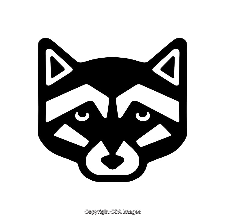 Minimalist Black and White Illustration of a Raccoon Face