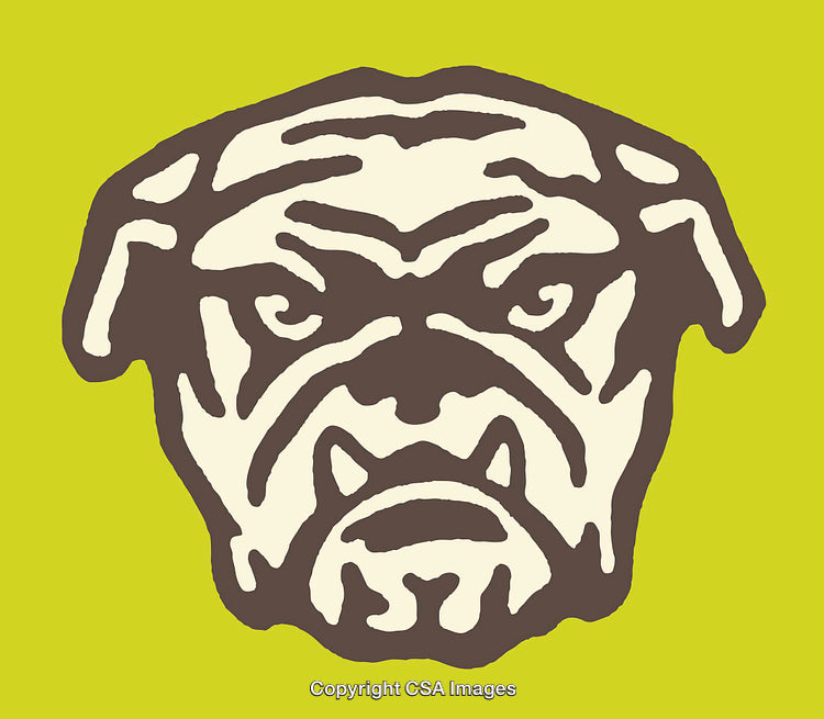 Bold Illustration of a Bulldog Face with a Green Background