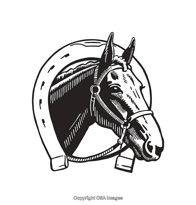 Horse and Horseshoe Line Art Illustration in Black and White Style