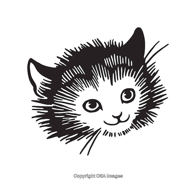 Black and White Line Drawing of a Cat's Face