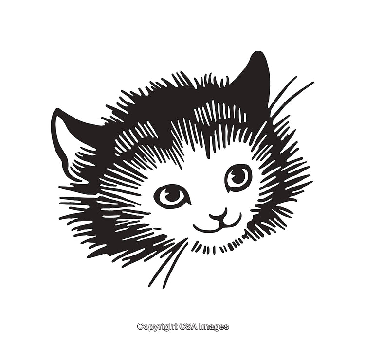 Black and White Line Drawing of a Cat's Face