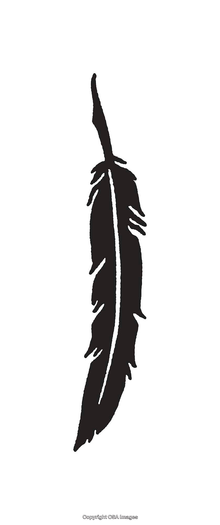 Black and White Feather Line Art to Illustrate Simplicity and Elegance