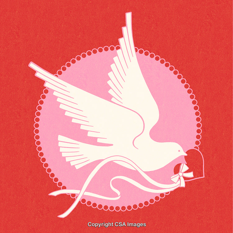 Graceful White Dove Carrying Heart Symbol on Textured Red Background
