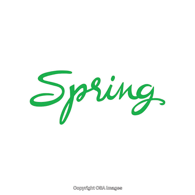Elegant Green Script Typography Featuring the Word Spring on White Background