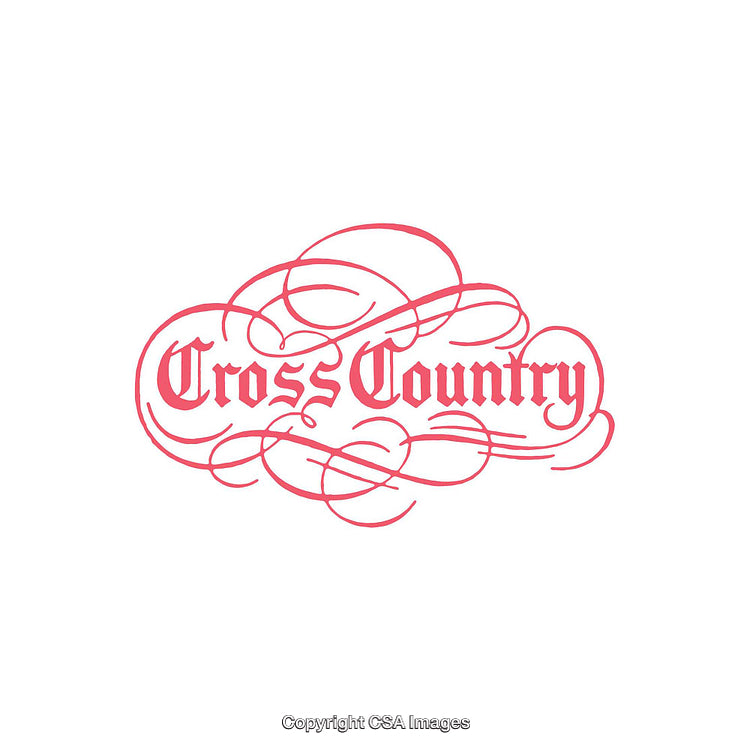 Elegant Decorative Script Logo with Pink Details on White Background