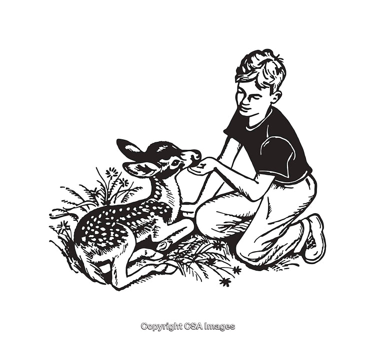 Boy Feeding a Resting Fawn in a Black and White Line Art Illustration