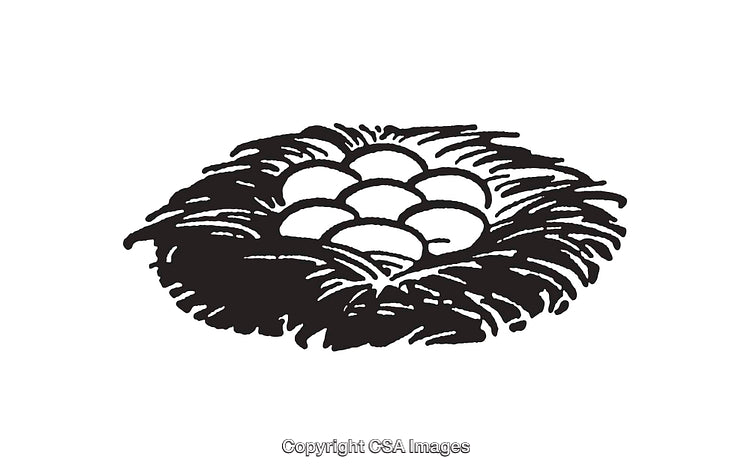 Black and White Illustration of Bird Nest with Eggs