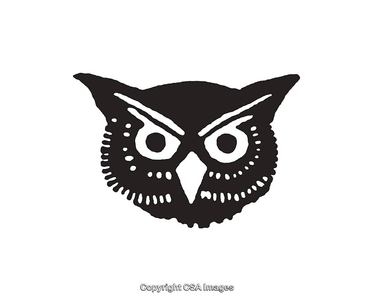 Black and White Line Art Illustration of an Owl Symbol