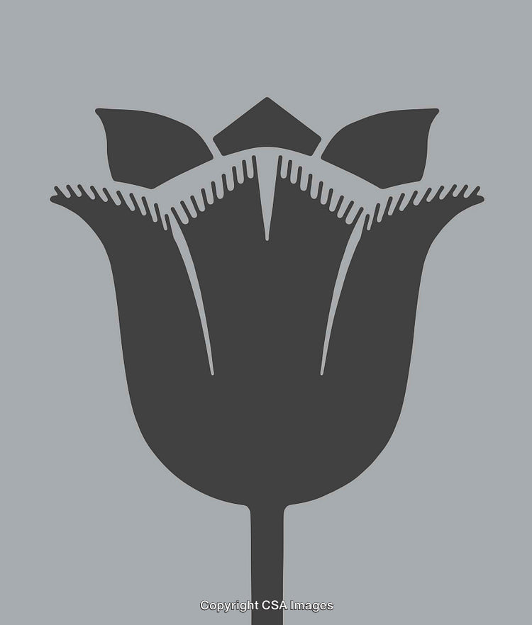Minimalist Tulip Silhouette Line Art on a Monochrome Background