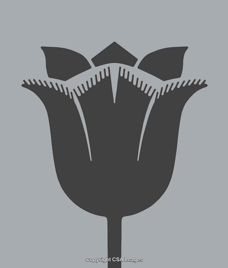 Minimalist Tulip Silhouette Line Art on a Monochrome Background