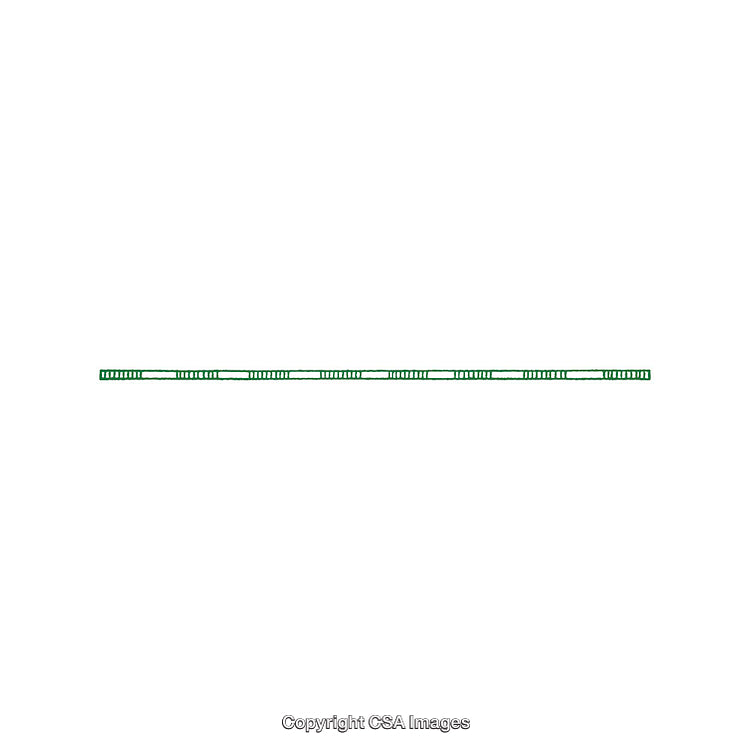 Thin and Straight Green Line Isolated on a White Background