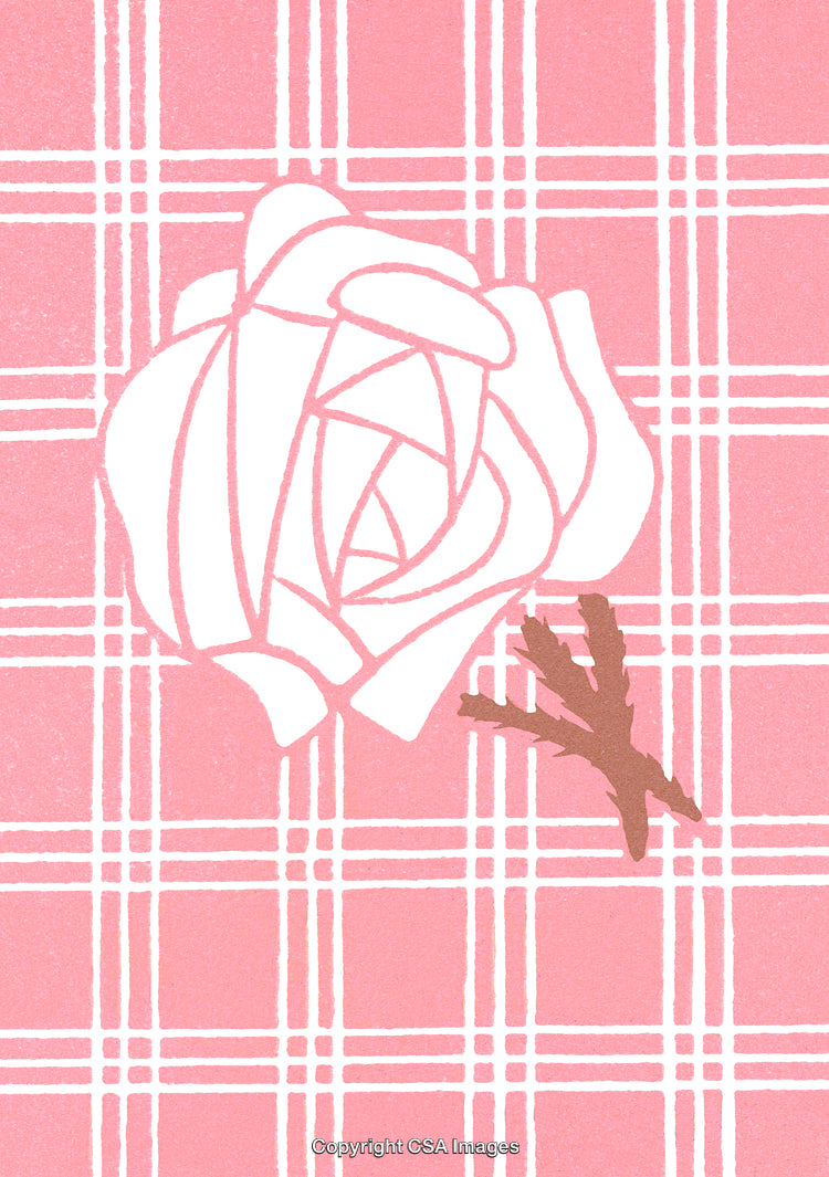 White Rose on Pink Checkered Background Illustration of Simplistic Design