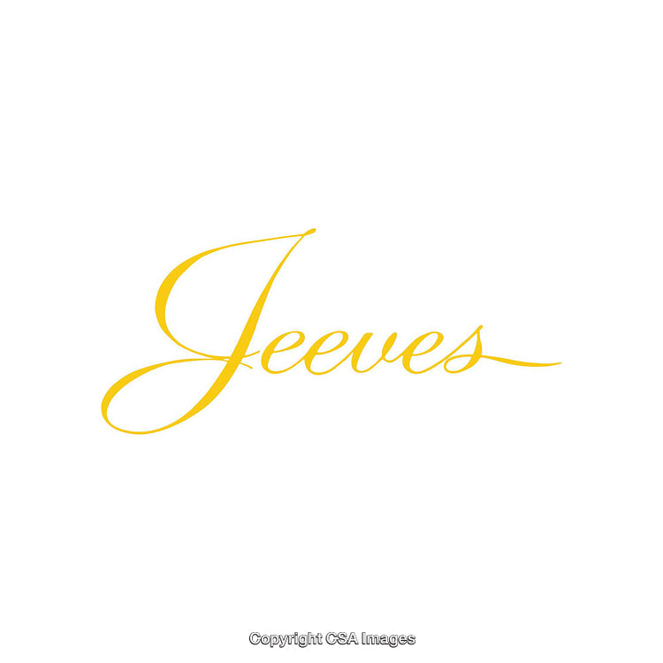 Elegant Yellow Script Calligraphy Featuring the Word 'Jeeves'