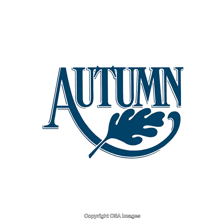 Elegant Autumn-Themed Design Featuring Leaf Motif on White Background