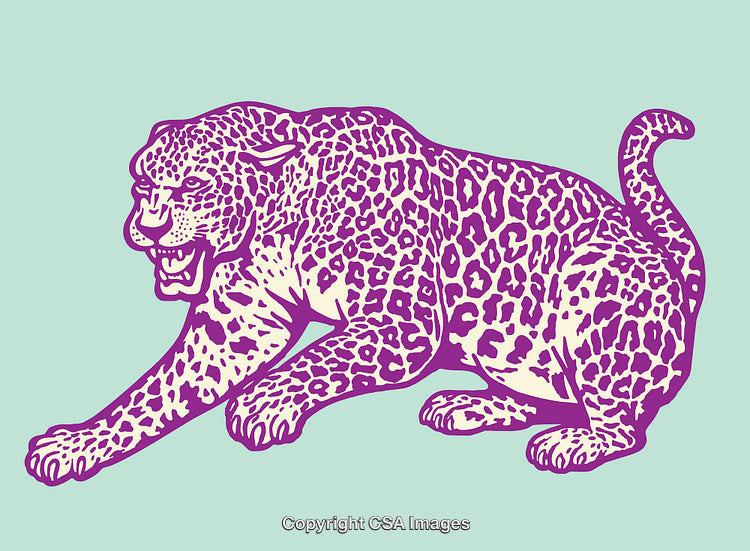 Vibrant Line Art Illustration of a Leopard in Dynamic Movement