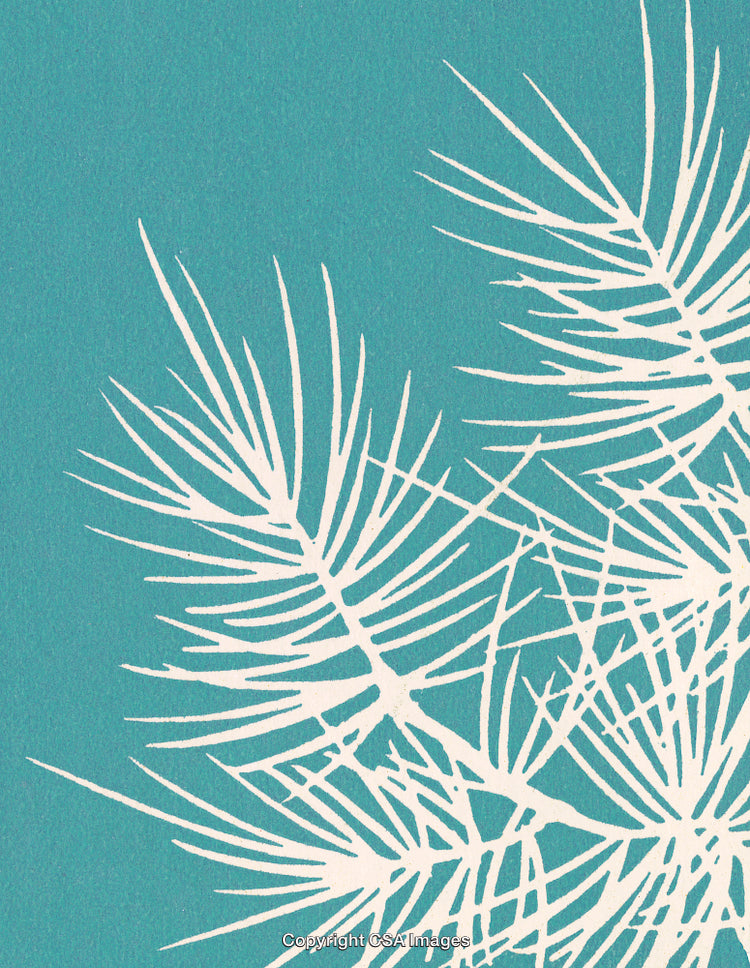 White Silhouette of Pine Branches on a Teal Background