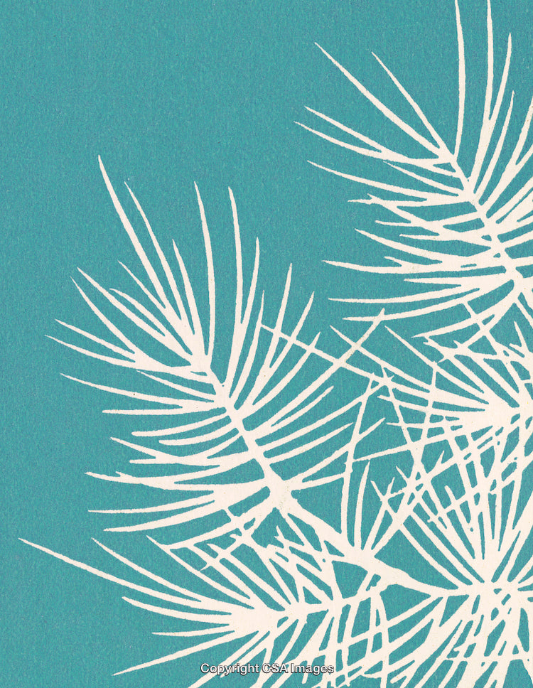 White Silhouette of Pine Branches on a Teal Background