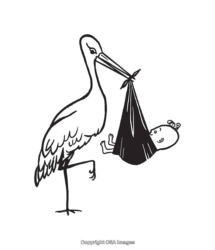 Stork Carrying Newborn in Bundle Line Drawing Illustration