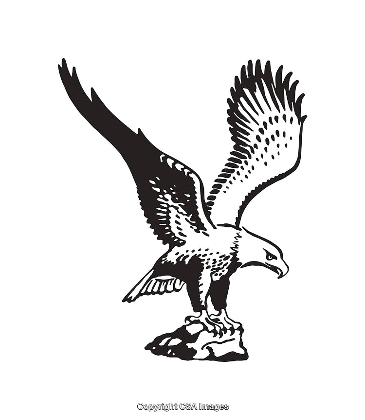 Black and White Line Art Illustration of an Eagle in Flight