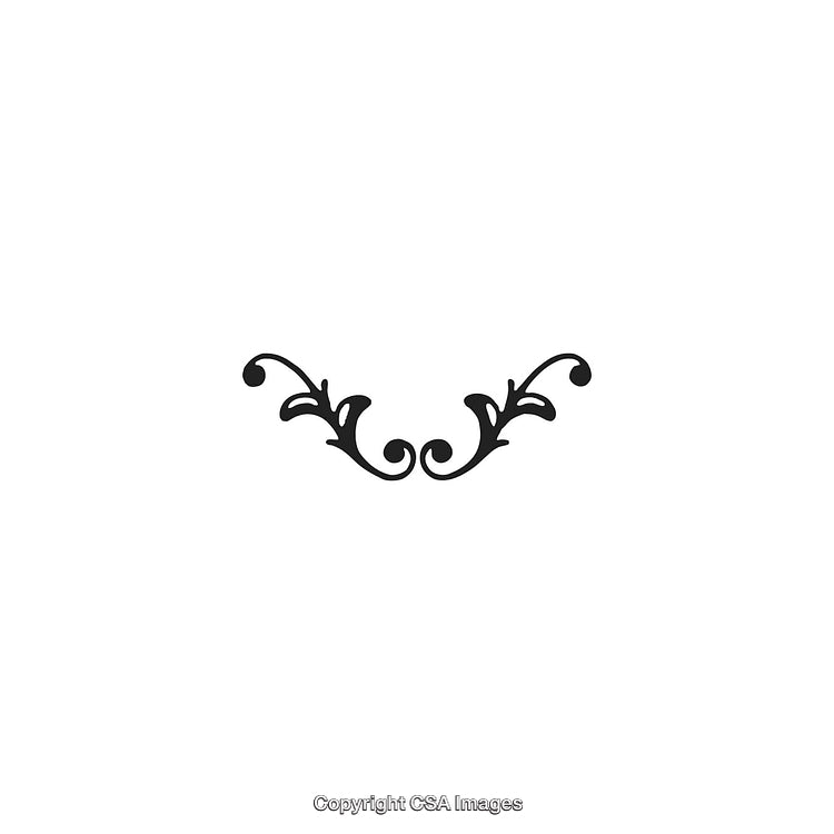 Elegant Decorative Ornament Design With Black and White Flourishes